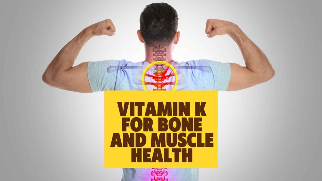 Vitamin K for Bone and Muscle Health