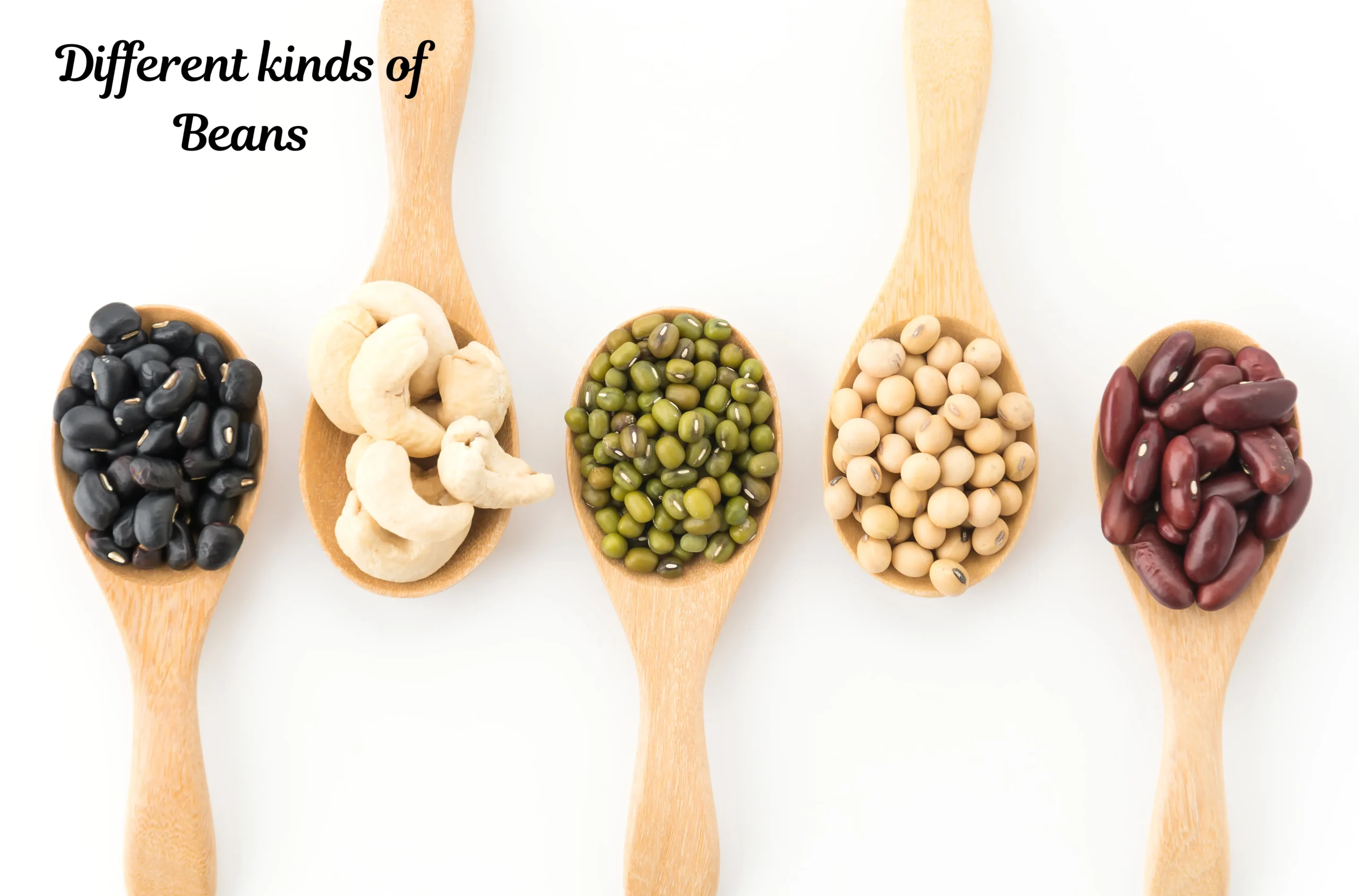 Beans of Different types