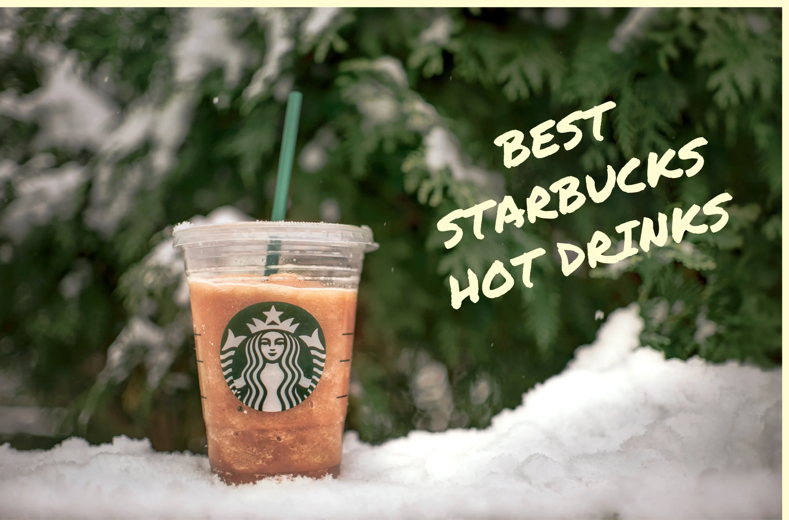 best starbucks hot drinks