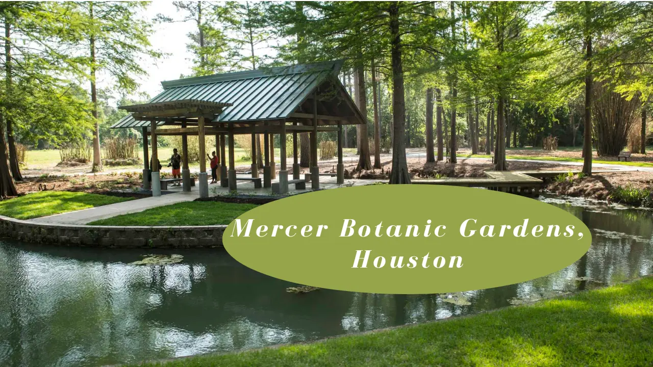 Mercer Botanic Gardens, Houston