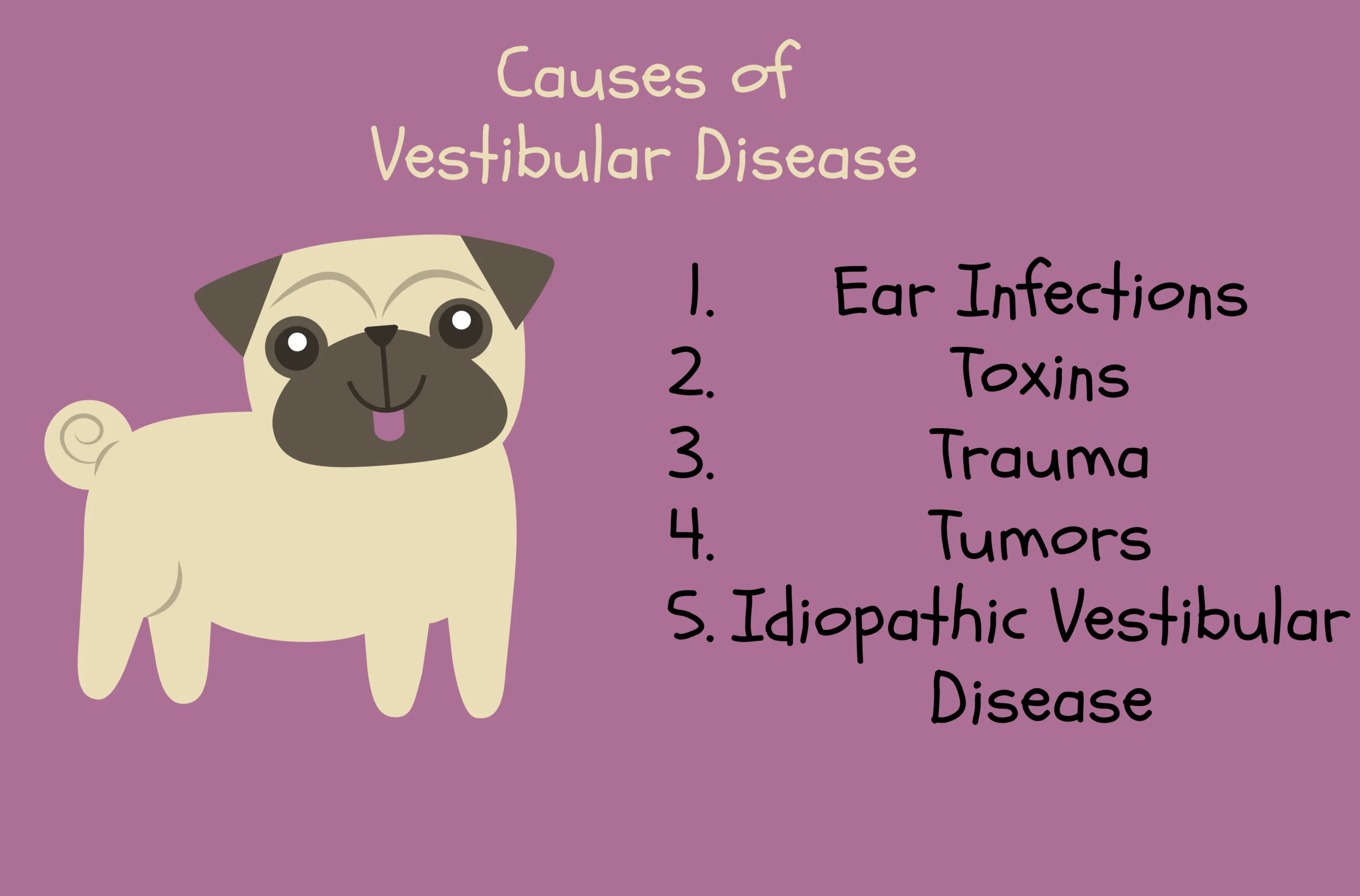 causes of vestibular disease in Dogs